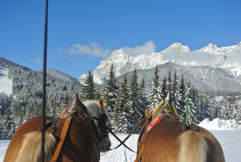 Pension Bergpracht Ramsau am Dachstein Dış mekan fotoğraf